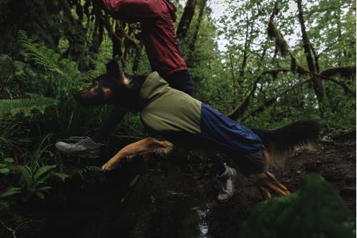 Chubasquero para perros Ruffwear SUN SHOWER™ COVERALL Amarillo. Imagen 10