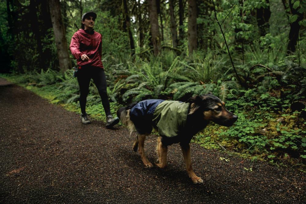 Chubasquero para perros Ruffwear SUN SHOWER™ COVERALL Amarillo. Imagen 11