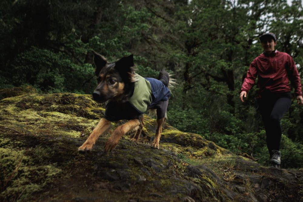 Chubasquero para perros Ruffwear SUN SHOWER™ COVERALL Amarillo. Imagen 13