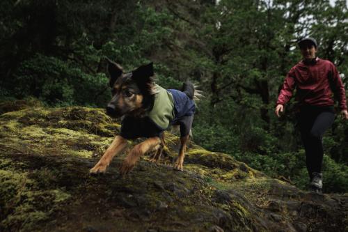 Chubasquero para perros Ruffwear SUN SHOWER™ COVERALL Amarillo. Imagen 13