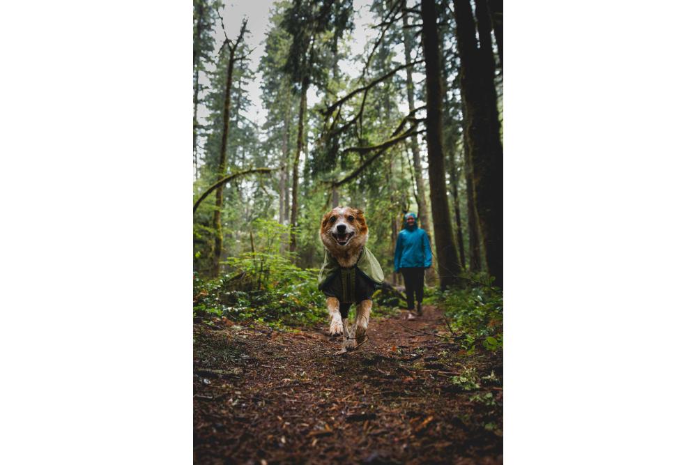 Chubasquero para perros Ruffwear SUN SHOWER™ COVERALL Amarillo. Imagen 16