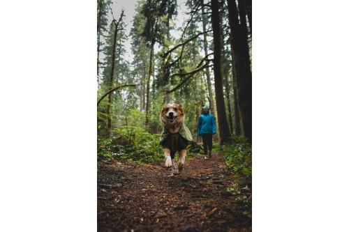 Chubasquero para perros Ruffwear SUN SHOWER™ COVERALL Amarillo. Imagen 16