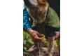 Chubasquero para perros Ruffwear SUN SHOWER™ COVERALL Amarillo. Imagen 14