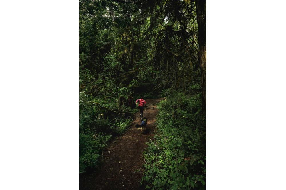 Chubasquero para perros Ruffwear SUN SHOWER™ COVERALL Amarillo. Imagen 18