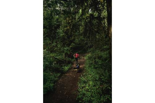 Chubasquero para perros Ruffwear SUN SHOWER™ COVERALL Amarillo. Imagen 18