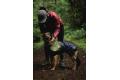 Chubasquero para perros Ruffwear SUN SHOWER™ COVERALL Amarillo. Imagen 17