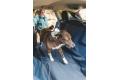 Cubre asiento funda protectora de coche para perros Ruffwear DIRTBAG™. Imagen 6