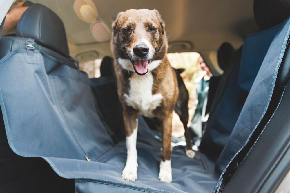 Cubre asiento funda protectora de coche para perros Ruffwear DIRTBAG™. Imagen 7