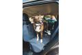Cubre asiento funda protectora de coche para perros Ruffwear DIRTBAG™. Imagen 9