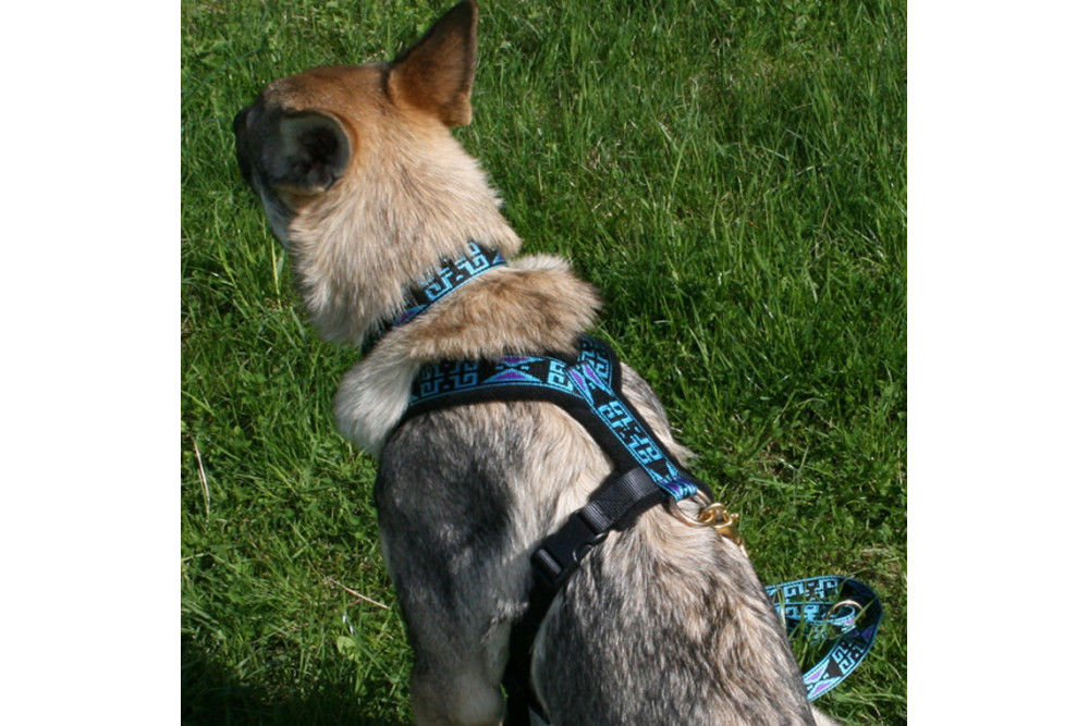 arnés para perros Speedog TRACKING PROFI con acolchado suave y cómodo para evitar roces.  para correr, trekking. toma 5