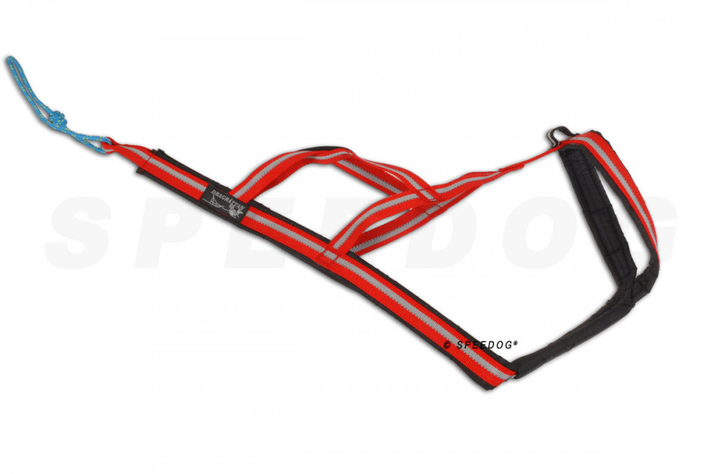 arnés para perros Dragrattan R-Back para canicross, bikejoring, bicicleta. materiales de larga duración. toma 2