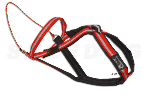 arnés para perros Dragrattan MultiSport para canicross, bikejoring, bicicleta. materiales de larga duración. toma 1