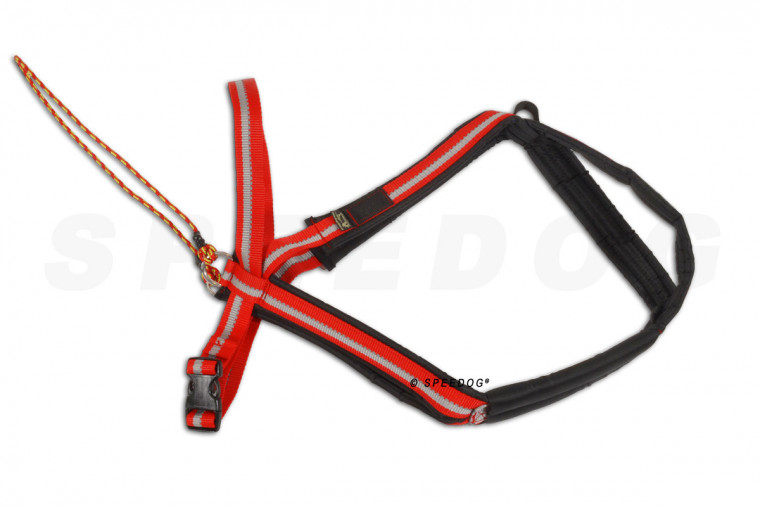 arnés para perros Dragrattan MultiSport para canicross, bikejoring, bicicleta. materiales de larga duración. toma 1 2