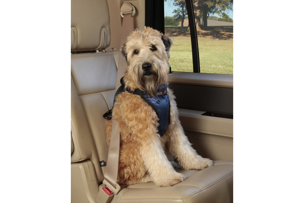 Arnés VEHICLE SAFETY PRO