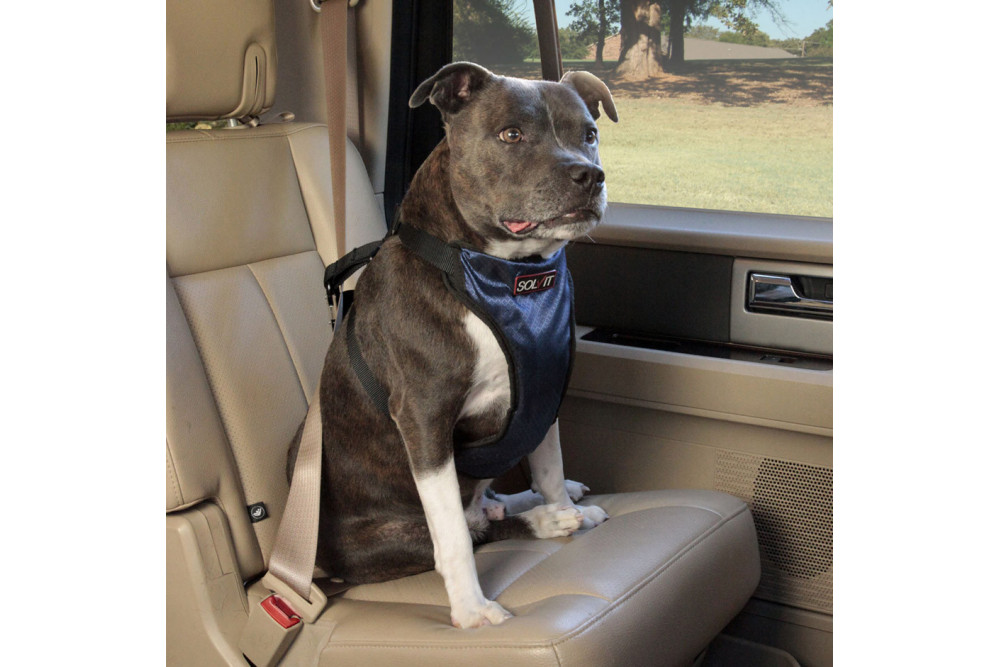 Arnés VEHICLE SAFETY PRO