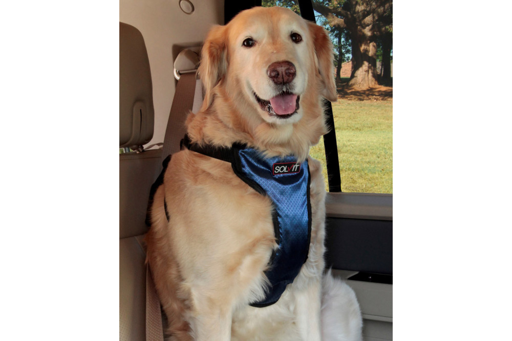 Arnés VEHICLE SAFETY PRO