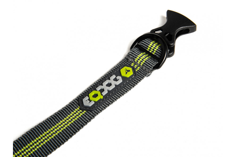 Collar Eqdog CLASSIC