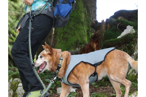 collar para perros Classic Collar™ de Eqdog está inspirado en material Outdoor, indicado para uso a diario. cómodo. perro