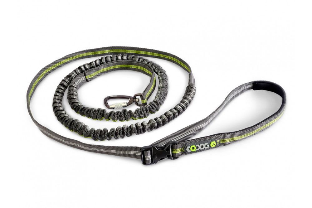 La correa para perros Jogging Leash™ Eqdog con elástico anti tirones.  de asa regulable para llevarla en la cintura toma 1