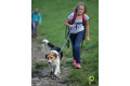 La correa para perros Jogging Leash™ Eqdog con elástico anti tirones.  de asa regulable para llevarla en la cintura toma 5