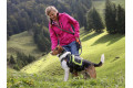 La correa para perros Jogging Leash™ Eqdog con elástico anti tirones.  de asa regulable para llevarla en la cintura toma 6