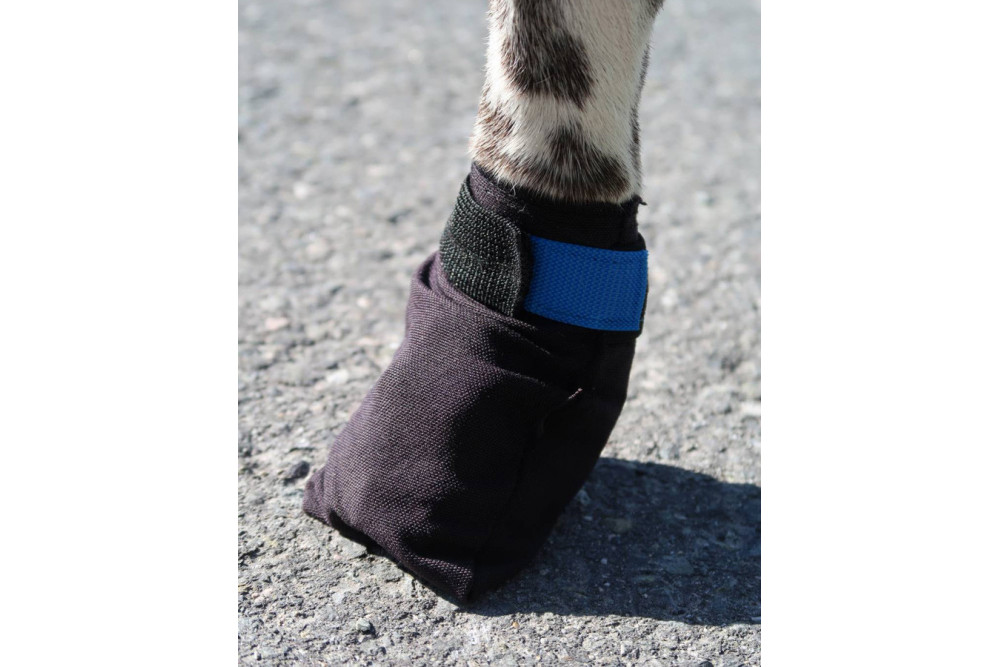 botas zapatos para perros RACING Speedog para caza, canicross, running, nieve, montaña, mushing. Económicas toma 2