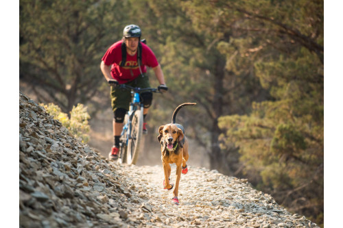 botas zapatos para perros Grip Trex™ azul Ruffwear protección todo terreno para tu perro. suela Vibram de alto agarre toma 5