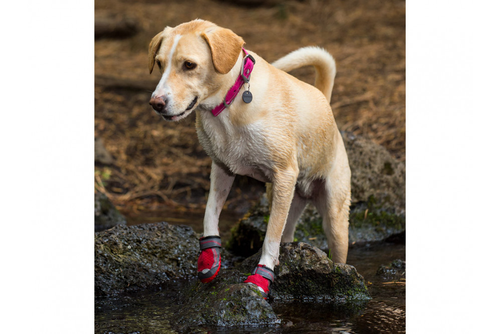 botas zapatos para perros Grip Trex™ azul Ruffwear protección todo terreno para tu perro. suela Vibram de alto agarre toma 7