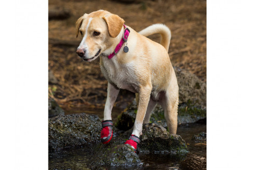 botas zapatos para perros Grip Trex™ azul Ruffwear protección todo terreno para tu perro. suela Vibram de alto agarre toma 7