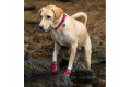 botas zapatos para perros Grip Trex™ azul Ruffwear protección todo terreno para tu perro. suela Vibram de alto agarre toma 7