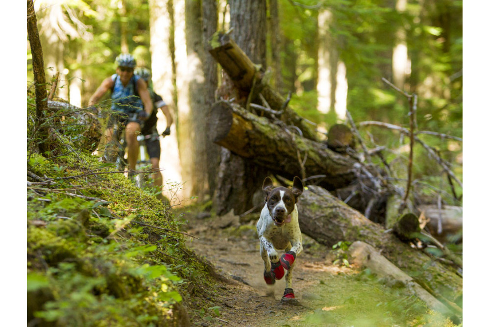 botas zapatos para perros Grip Trex™ rojo Ruffwear protección todo terreno para tu perro. suela Vibram de alto agarre toma 6