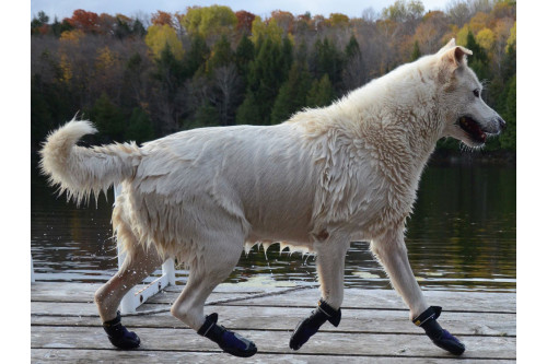 botas zapatos para perros MUD MONSTER azul Muttluks mejores en protección de las almohadillas  y duración toma 9