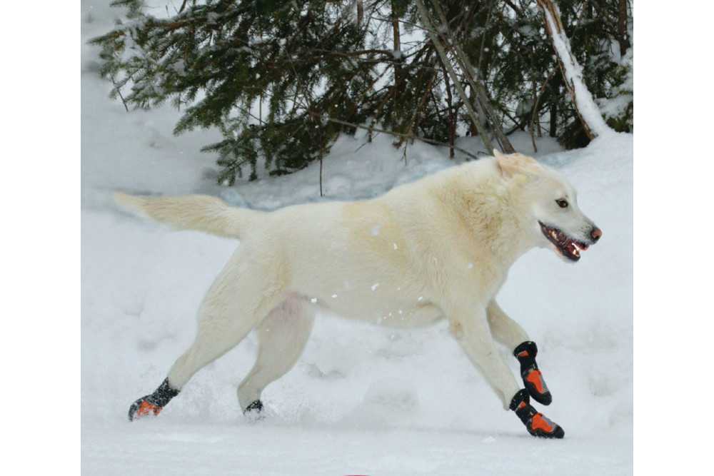 botas zapatos para perros SNOW MUSHER nieve invierno azul Muttluks, protección y duración de la suela de goma toma 6