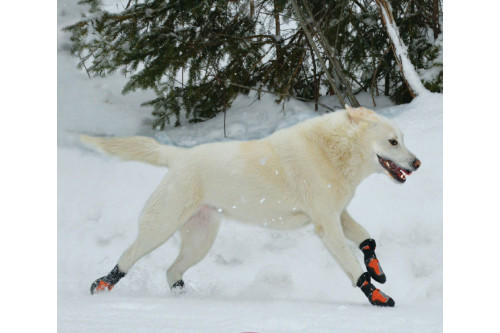 botas zapatos para perros SNOW MUSHER nieve invierno azul Muttluks, protección y duración de la suela de goma toma 6