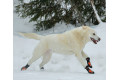 botas zapatos para perros SNOW MUSHER nieve invierno naranja Muttluks, protección y duración de la suela de goma toma 7