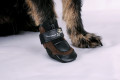 Bota, botines, zapatillas para perros uso interior, evitar resbalar, patinar, ayuda movimiento, evitar ruidos, protección toma 2