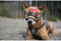 Gafas para perros REX SPECS Black. Protección de los ojos  a rayos UV, partículas,  traumatismos oculares, plasmoma. toma 12