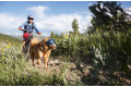 Gafas para perros REX SPECS coyote. Protección de los ojos  a rayos UV, partículas,  traumatismos oculares, plasmoma. toma 13