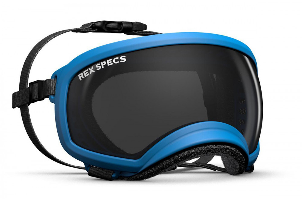 Gafas para perros REX SPECS blue. Protección de los ojos  a rayos UV, partículas,  traumatismos oculares, plasmoma. toma 1