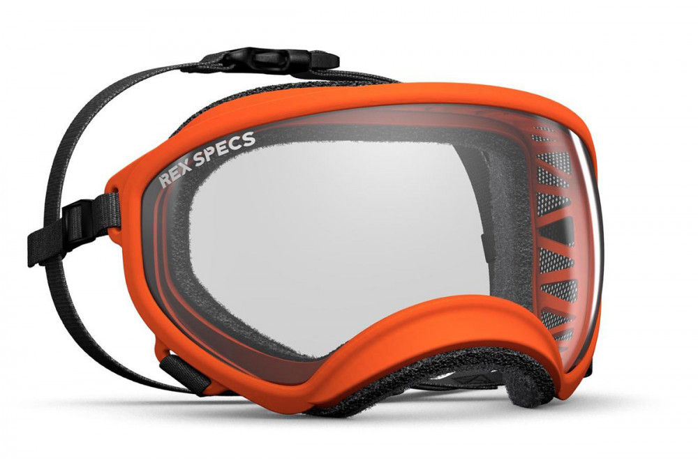 Gafas para perros REX SPECS orange. Protección de los ojos  a rayos UV, partículas,  traumatismos oculares, plasmoma. toma 2 Gafas para perros REX SPECS orange. Protección de los ojos  a rayos UV, partículas,  traumatismos oculares, plasmoma. toma 2