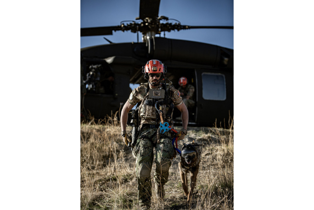 Gafas para perros REX SPECS orange. Protección de los ojos  a rayos UV, partículas,  traumatismos oculares, plasmoma. toma 7 Gafas para perros REX SPECS orange. Protección de los ojos  a rayos UV, partículas,  traumatismos oculares, plasmoma. toma 7