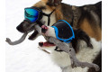 Gafas para perros REX SPECS green neon. Protección de los ojos  a rayos UV, partículas,  traumatismos oculares, plasmoma. toma 9