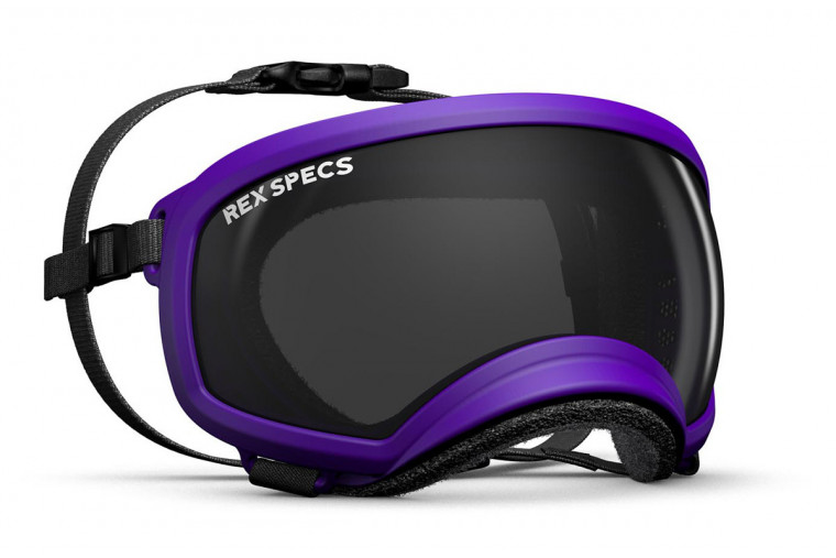 Gafas para perros REX SPECS purple . Protección de los ojos  a rayos UV, partículas,  traumatismos oculares, plasmoma. toma 1
