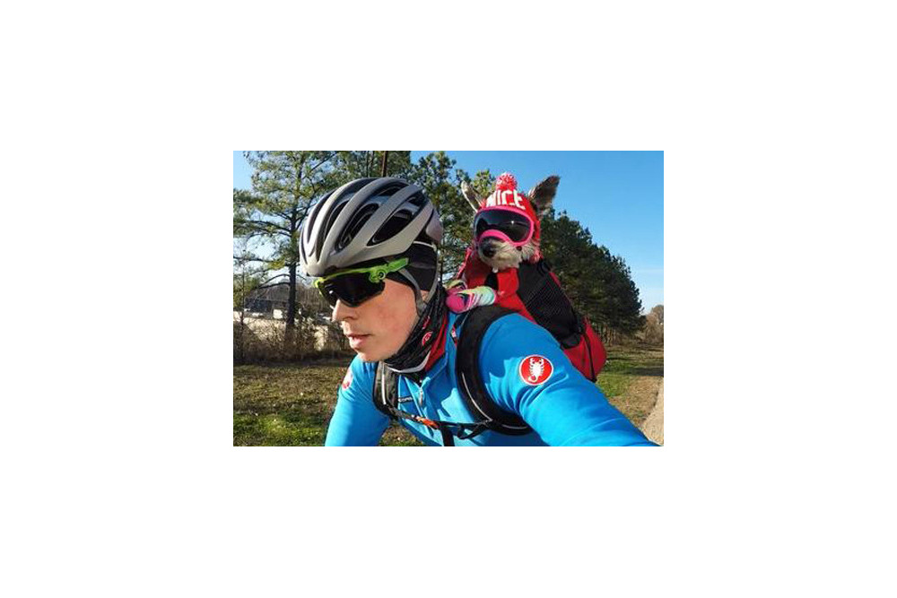 Recambio lentes smoke para gafas Rex Specs. Protección ojos de los perros rayos UV, traumatismos oculares toma 6