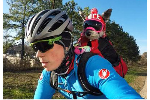 Recambio lentes smoke para gafas Rex Specs. Protección ojos de los perros rayos UV, traumatismos oculares toma 6