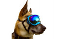 Recambio lentes azul para gafas Rex Specs. Protección ojos de los perros rayos UV, traumatismos oculares toma 4