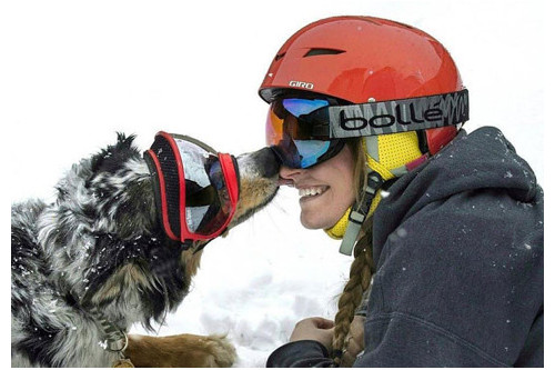 Recambio lentes plata para gafas Rex Specs. Protección ojos de los perros rayos UV, traumatismos oculares toma 3