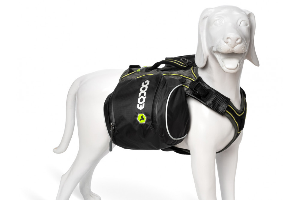 mochila alforja para perros Eqdog FLEX PACK™ II compact negro ajuste y funcionalidad para que sea confortable  toma 3