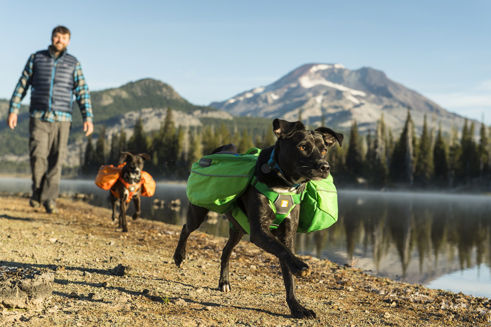 mochila alforja para perros Ruffwear Approach™ Pack naranja alto rendimiento, ajuste y funcionalidad. lleve cómodo carga toma 6
