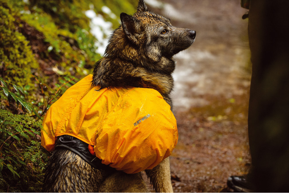 Impermeable Mochilas Ruffwear HI & DRY™